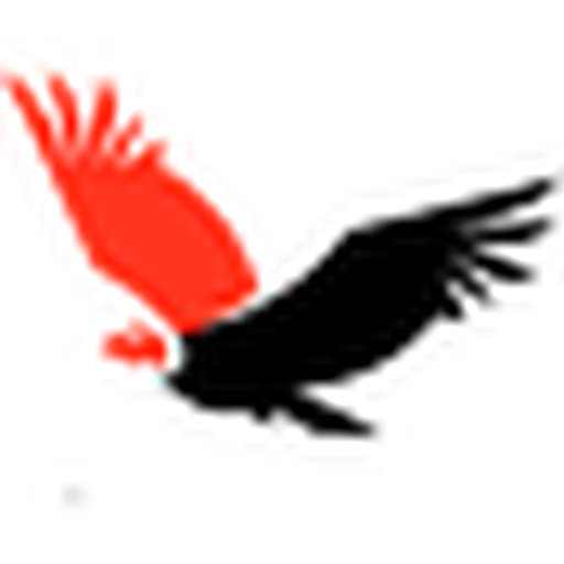 Don Cóndor logo